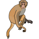 325 Monkey Sd40fum