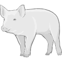 Pig Grey Farm Vector
