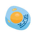 Nucleus