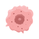 Cancer Cell