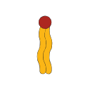 Phospholipid Membrane Unit