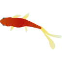 82 Fish Swimming