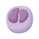 Icons Reed Sternberg Cell