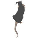 183 Mouse Top Details