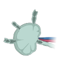 Free Illustration Lymph Node