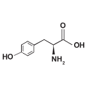 Svg L Tyrosine