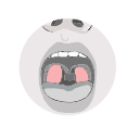 Free Illustration Tonsils