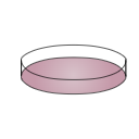 Petri Dish
