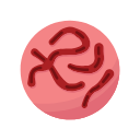 Icons Reticulocyte