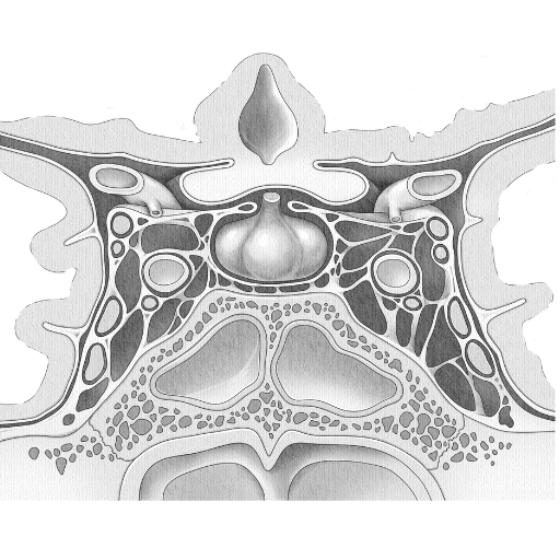 BioSketch.art: An Open Source Alternative to Biorender